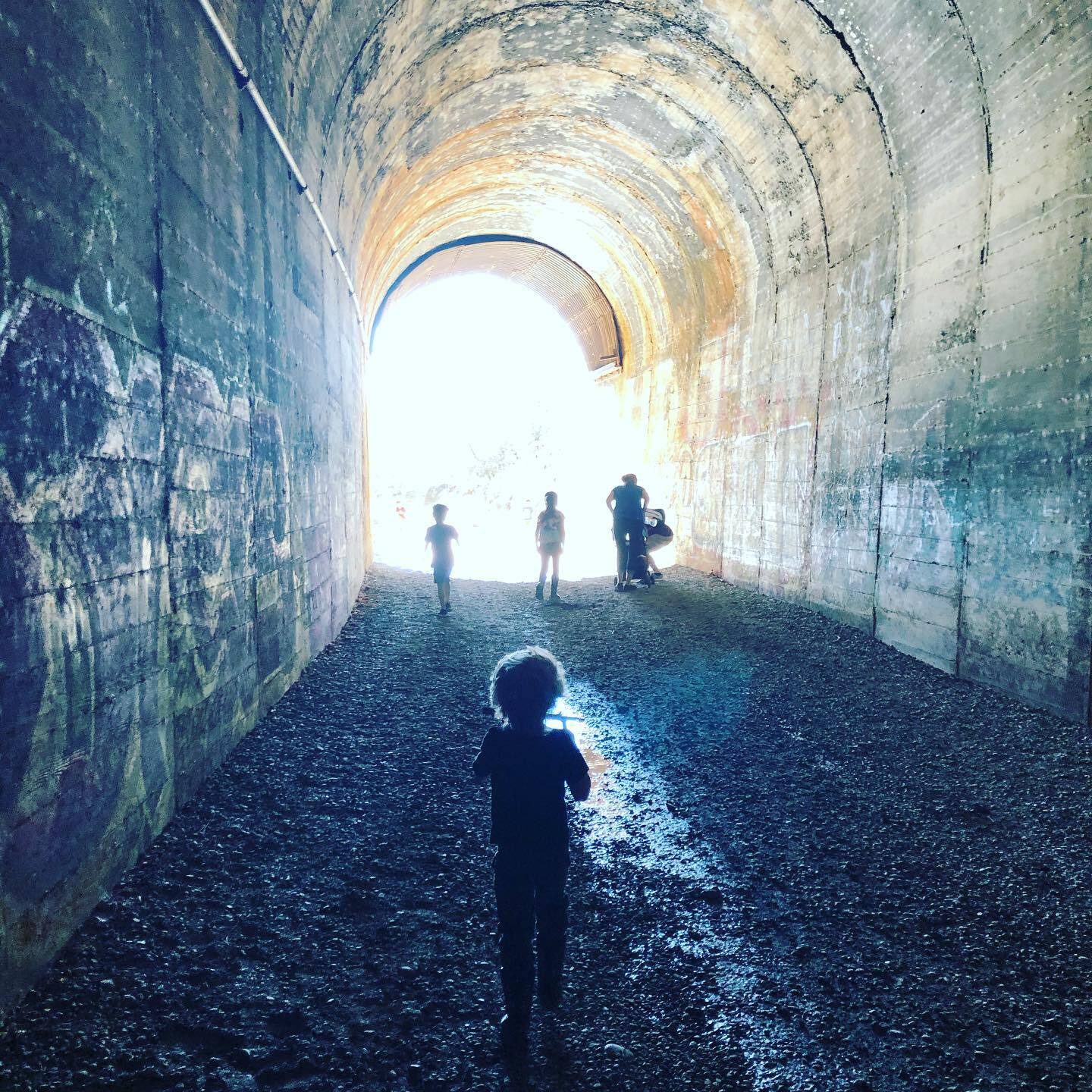 7 Kid-Friendly Hiking Trails in Butte County