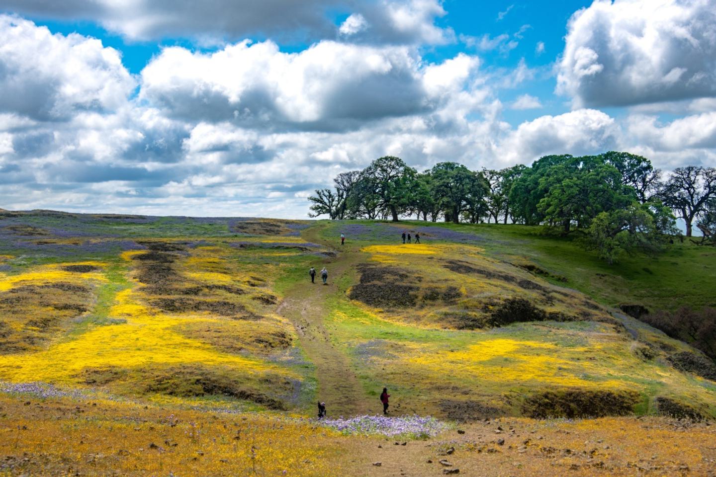 The Best Outdoor Spots in Butte County