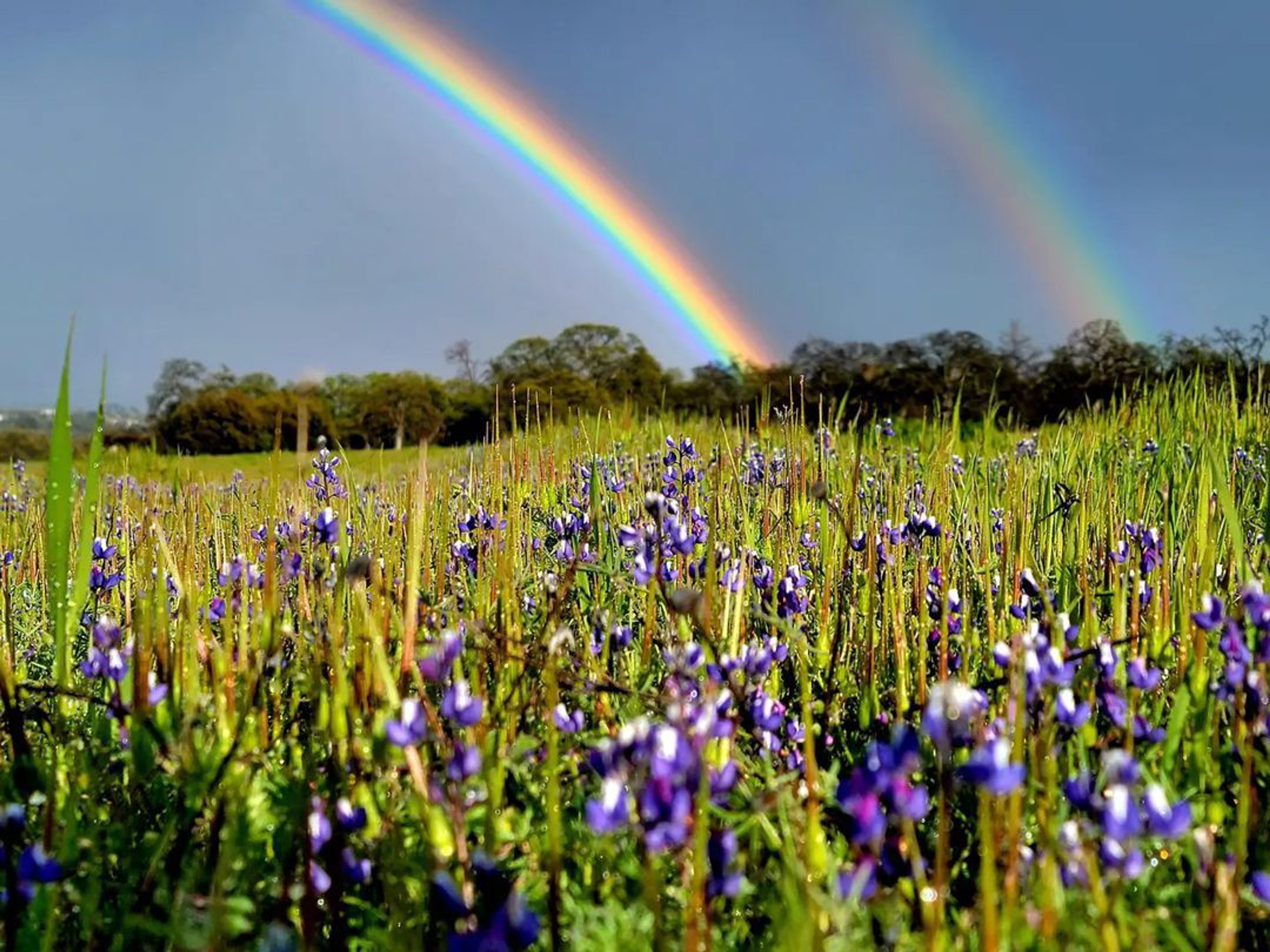 Butte County Spring Spring Family Adventure in Butte County | Explore Butte County
