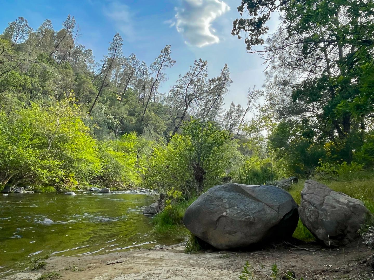 Swimming Holes in Bidwell Park