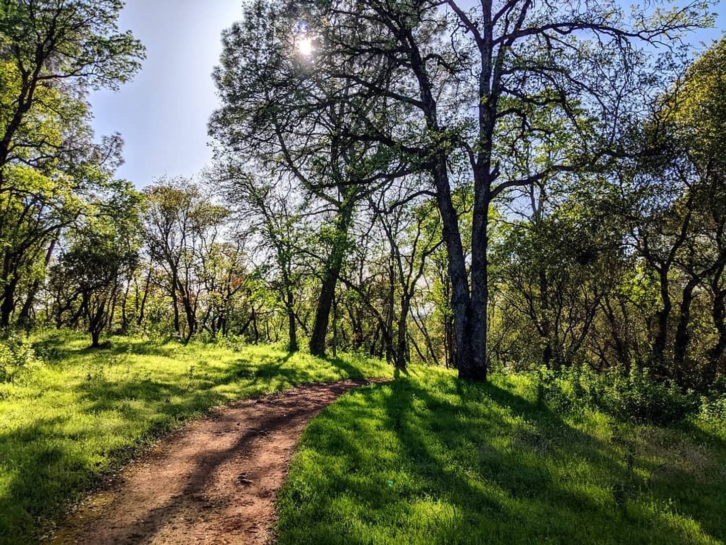 Trails, Waters, and Bites: A Two-Day Adventure