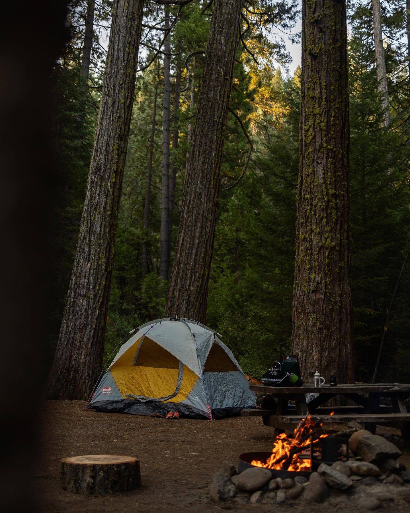 National Forest Campgrounds