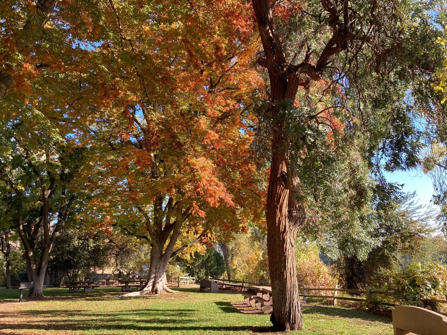 Beyond Butte County: 30 Amazing Day Trips Experiences