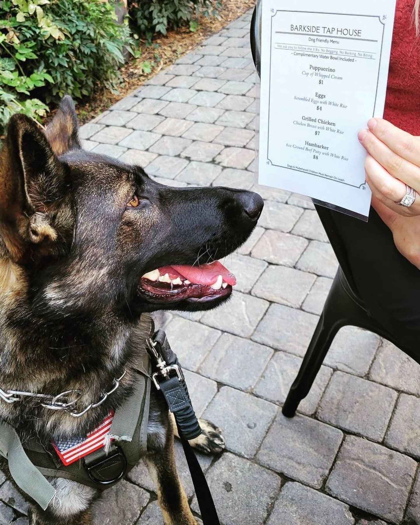 Dog-Friendly Places in Butte County