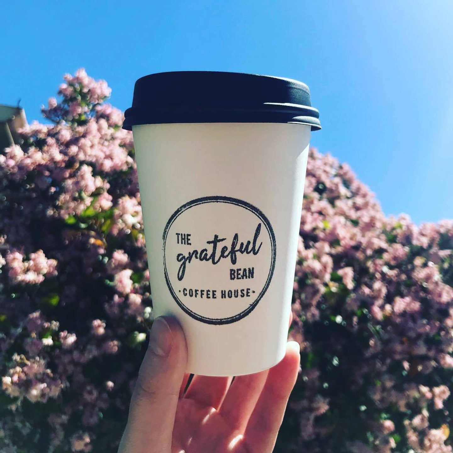 Caffeine Crawl: Discover Butte County's Local Coffee Shops