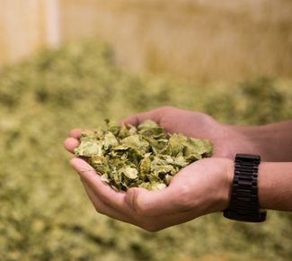 A Brief History of Beer in Chico