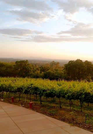 Grey Fox Vineyards