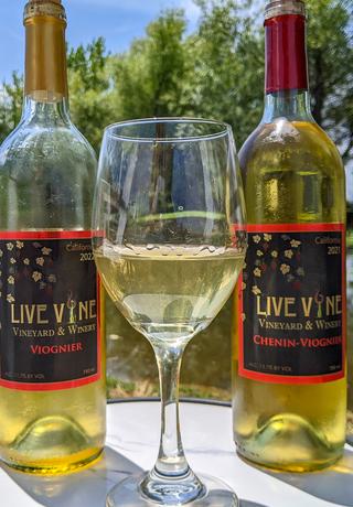 Live Vine Vineyard & Winery