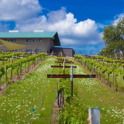 Hickman Family Vineyards