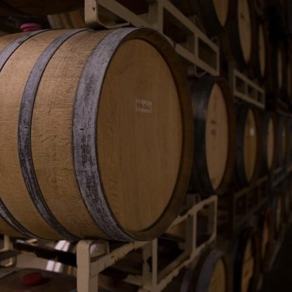 bertagna-son-kissed-vineyard-wine-barrels_durham-ca
