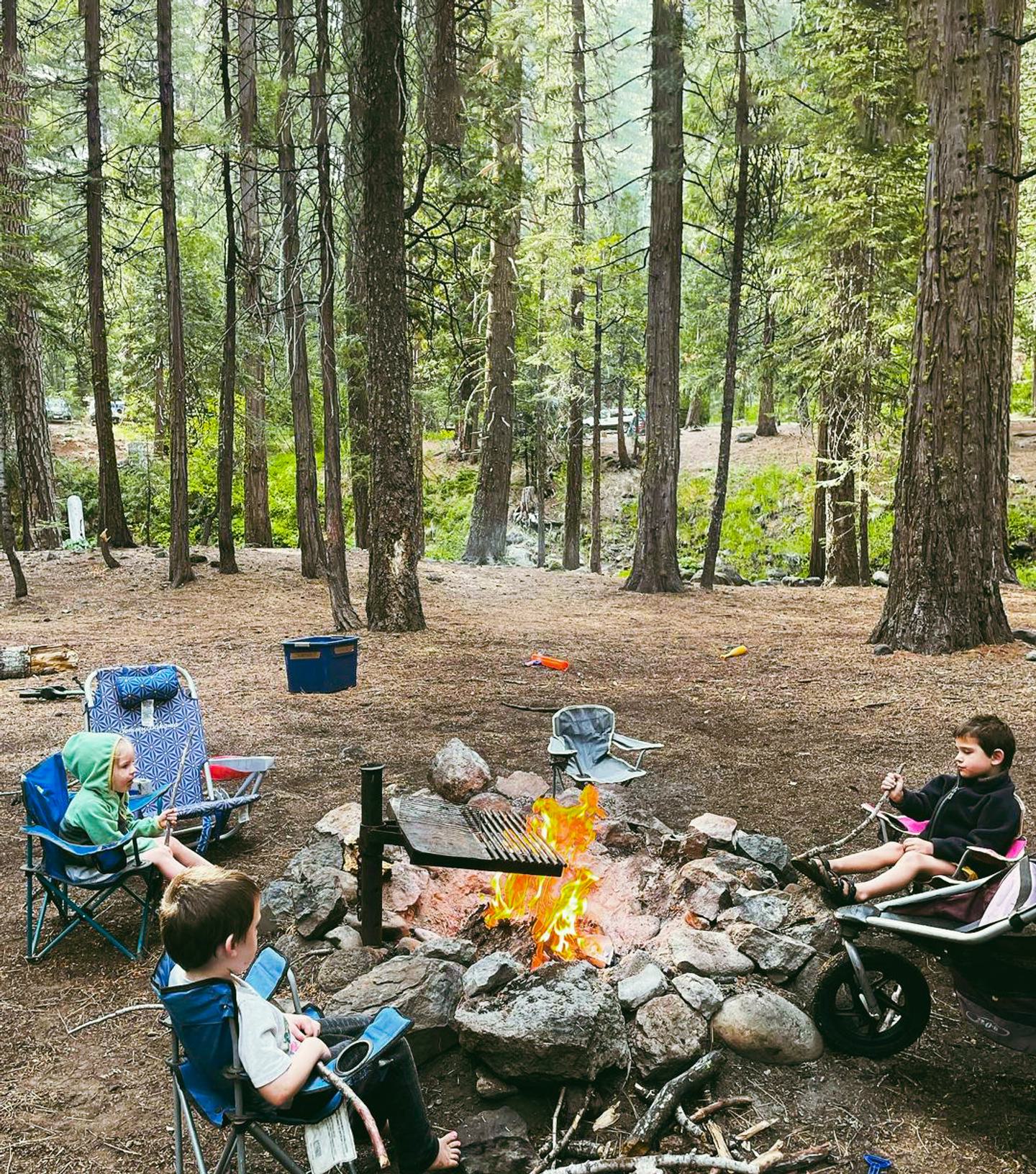 National Forest Campgrounds