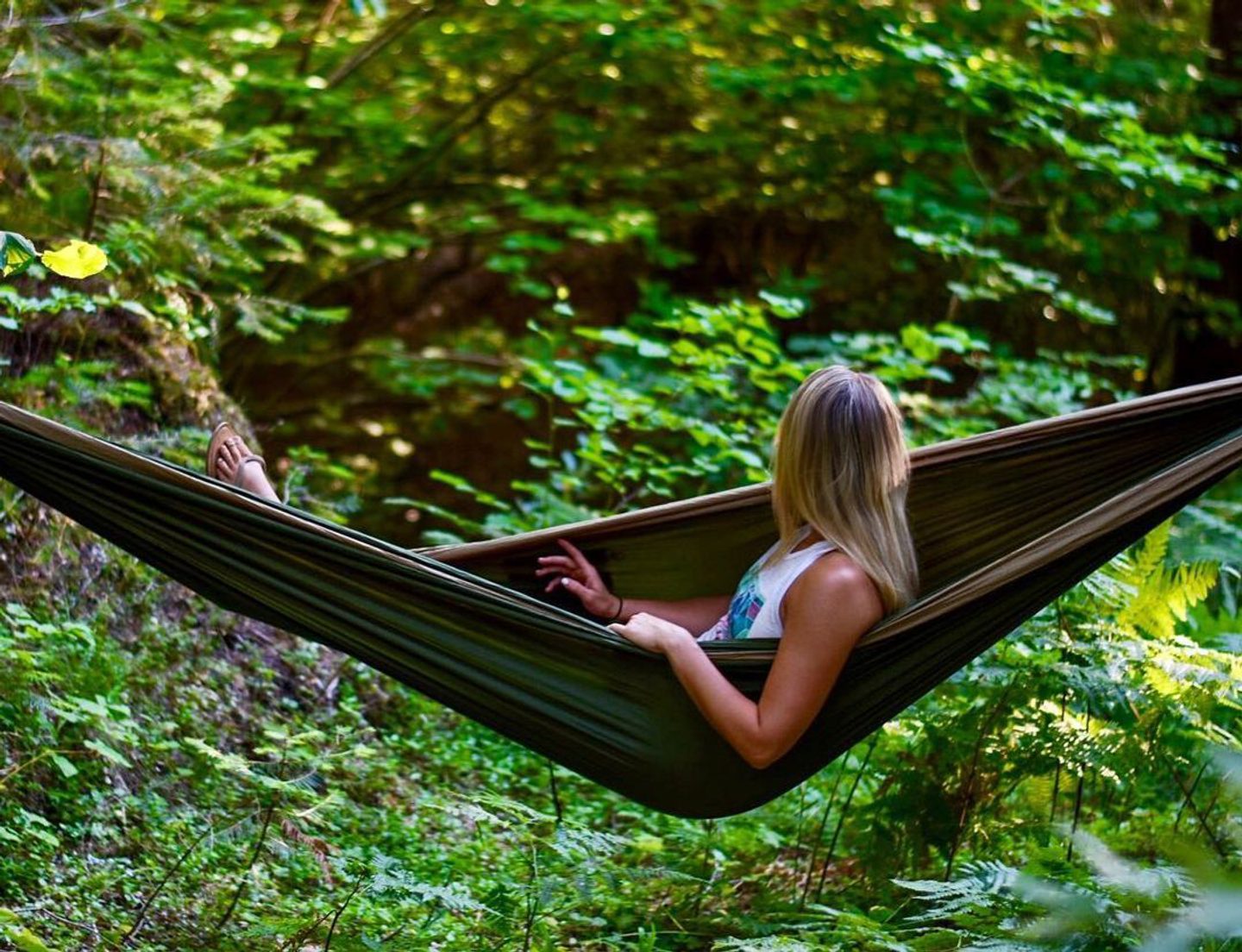 National Forest Campgrounds