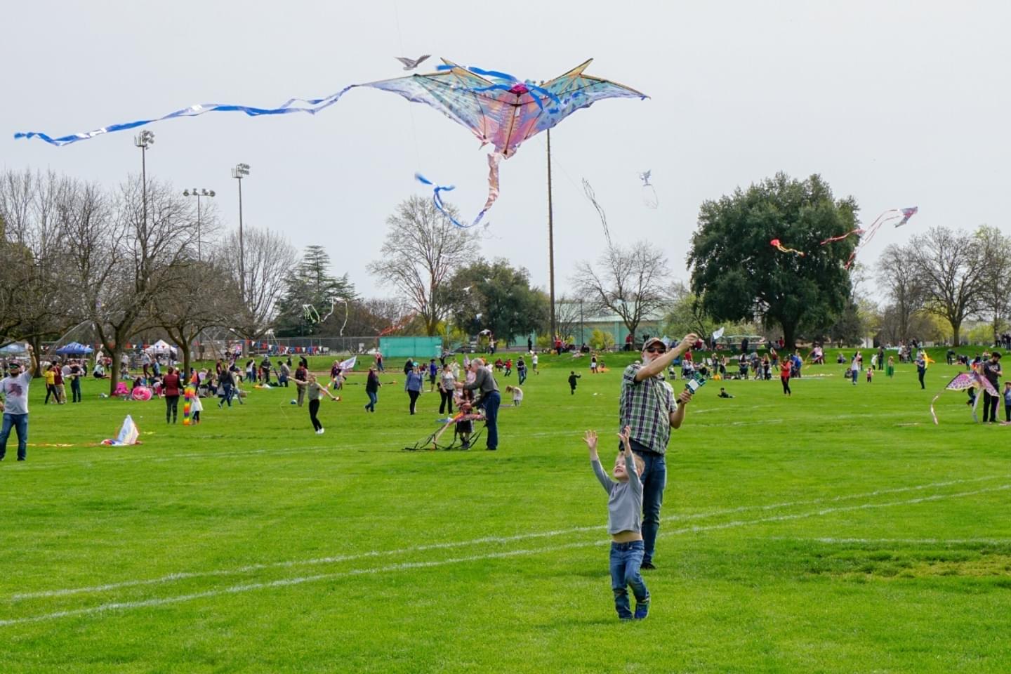 15 of the Best Parks and Recreation Areas in Butte County