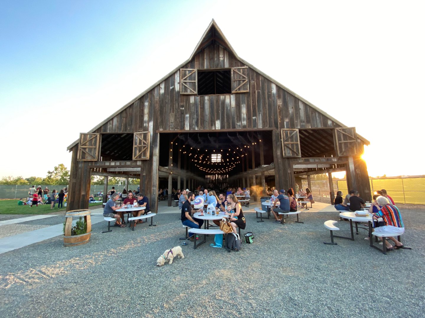 The Tank District in Meriam Park: The Ultimate Guide