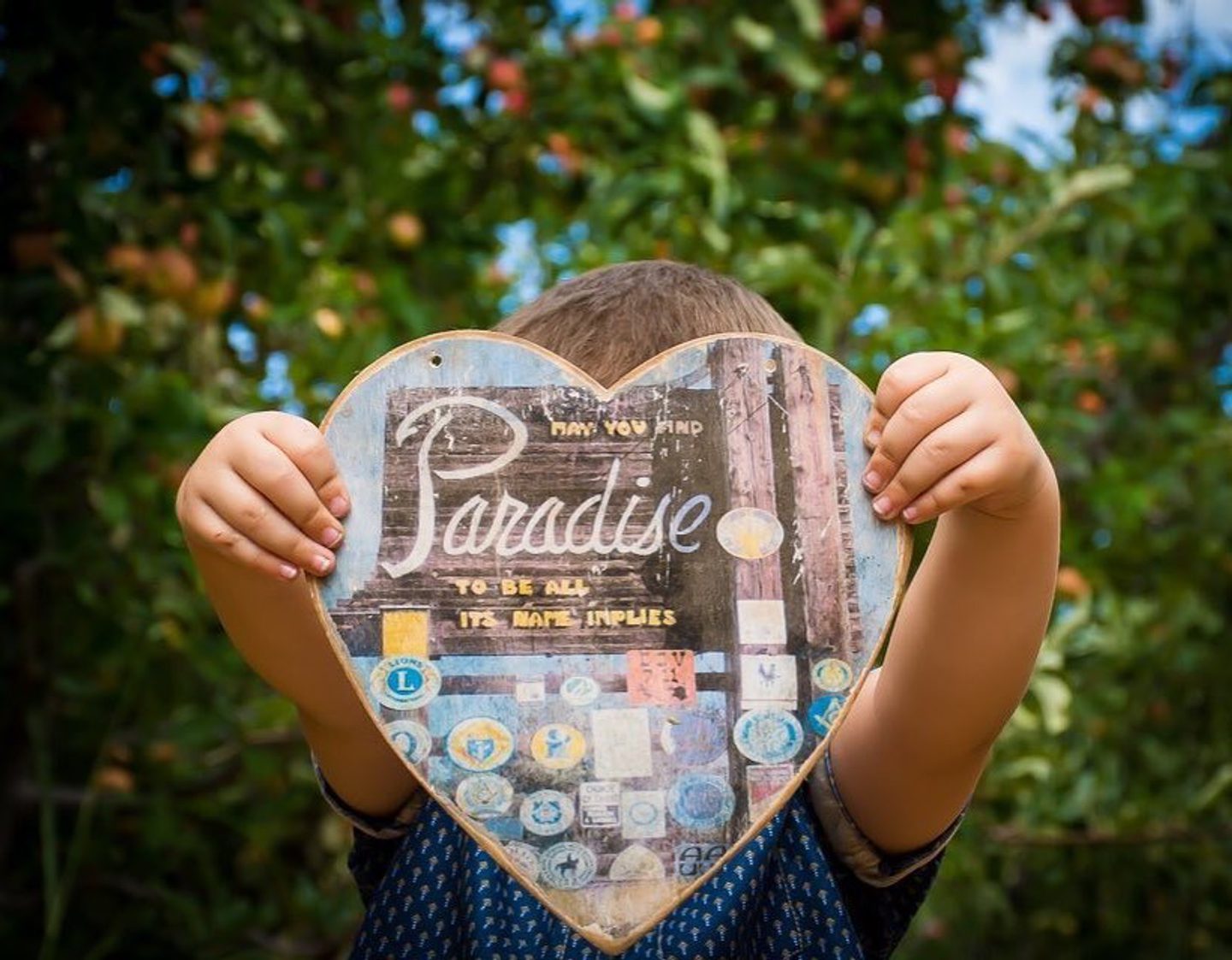 Paradise: Resiliency on The Ridge