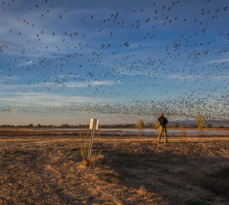 Perfect Pairings: A January Itinerary