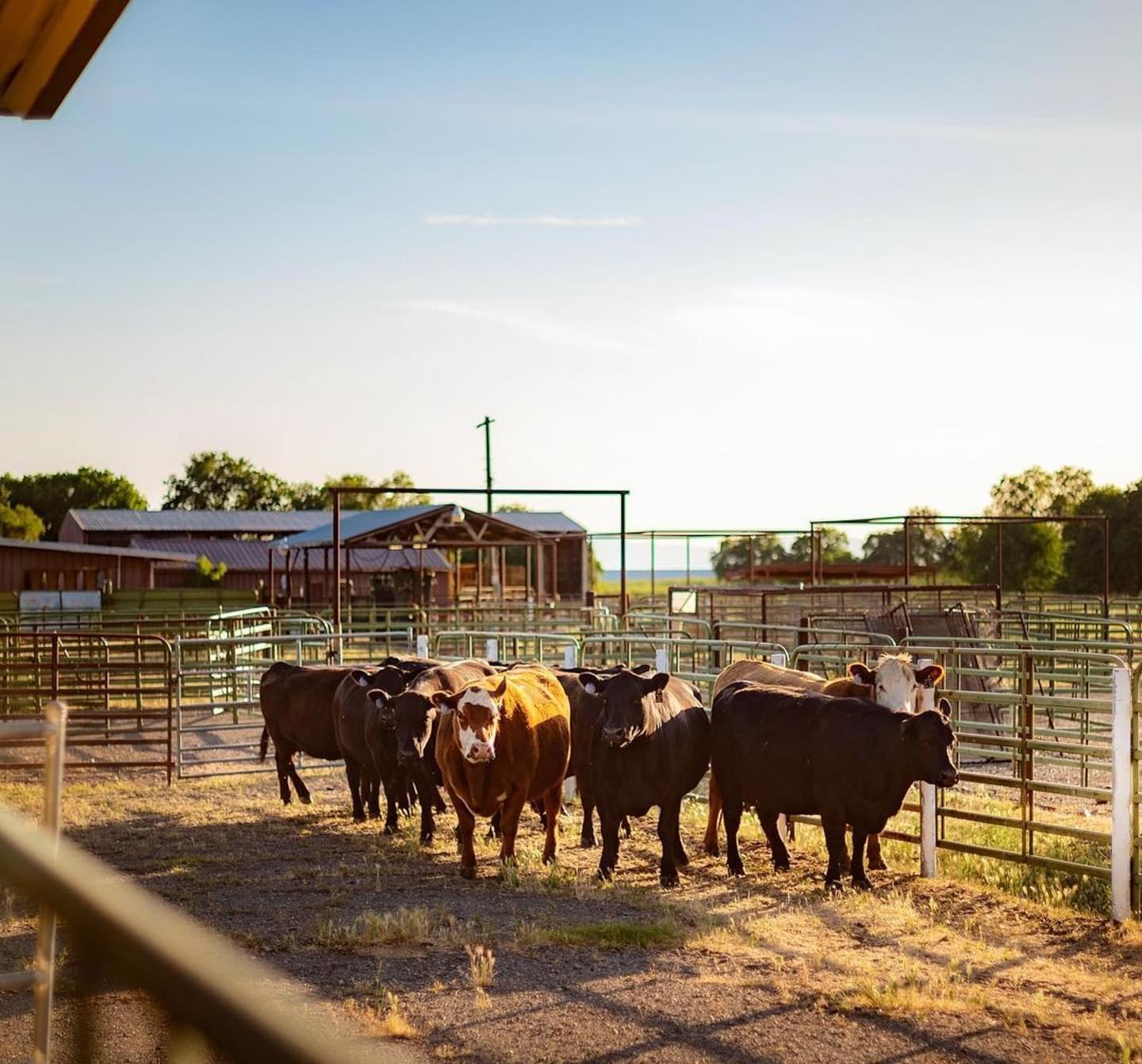 Chico State Meats Lab
