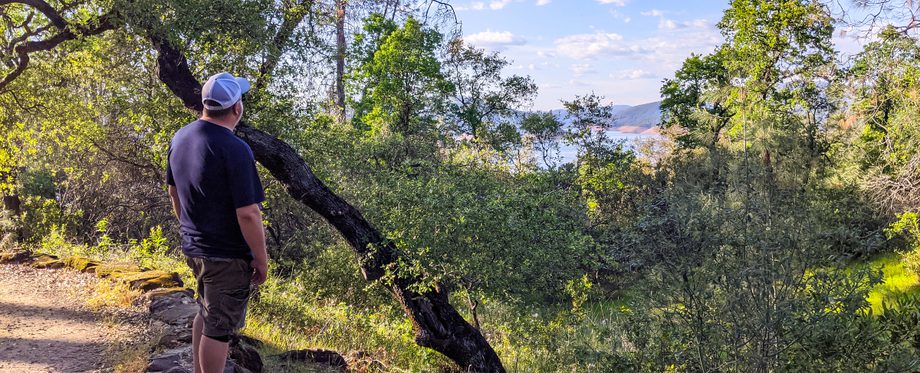 bidwell-canyon-trail-trees-lake-oroville-ca