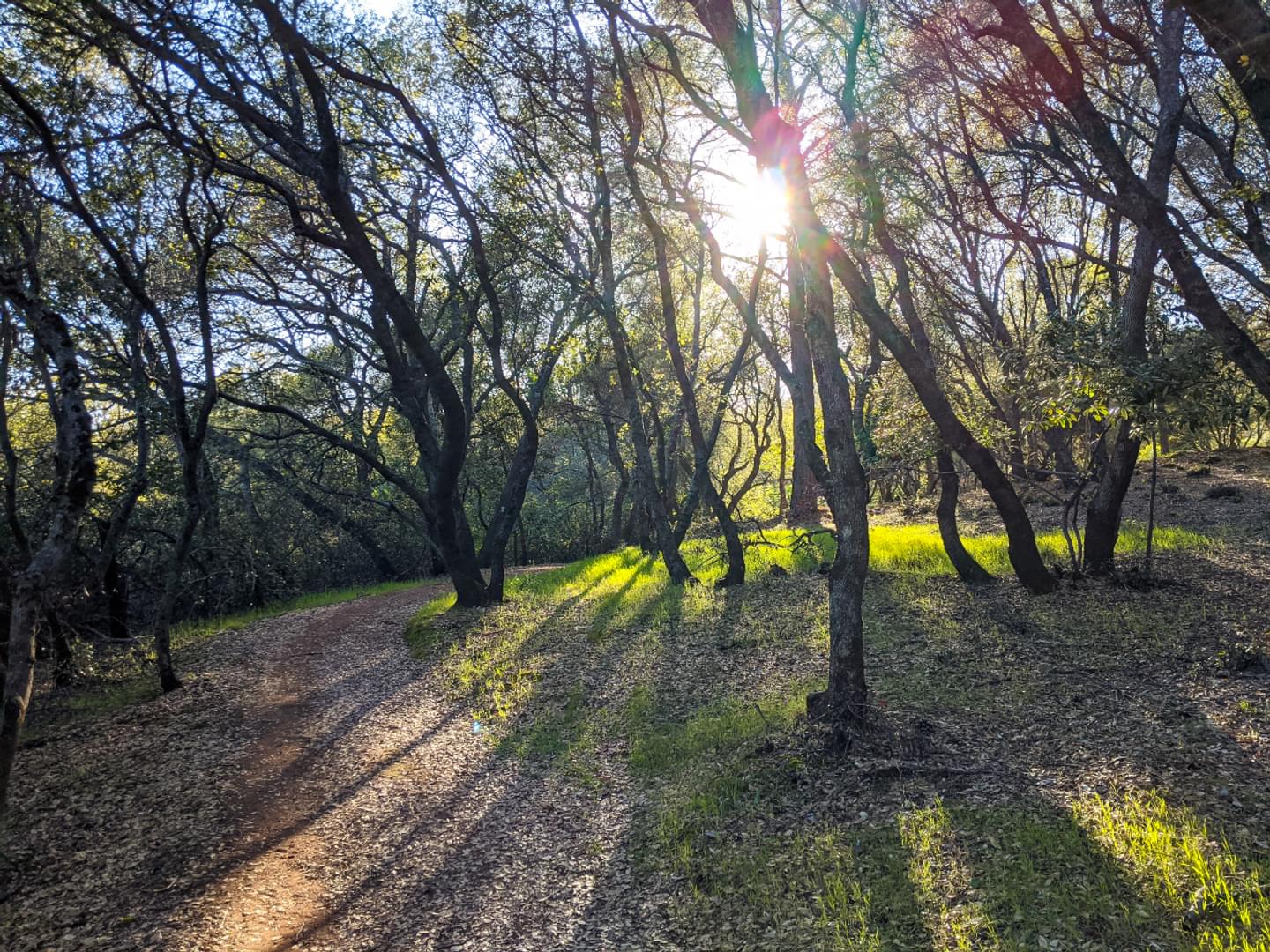 Hike Like a Local: Bidwell Canyon