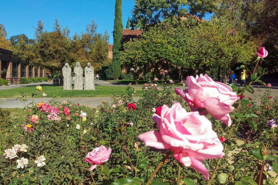 Chico State Spring 7 Ways to Experience Chico State Like a Student | Explore Butte County