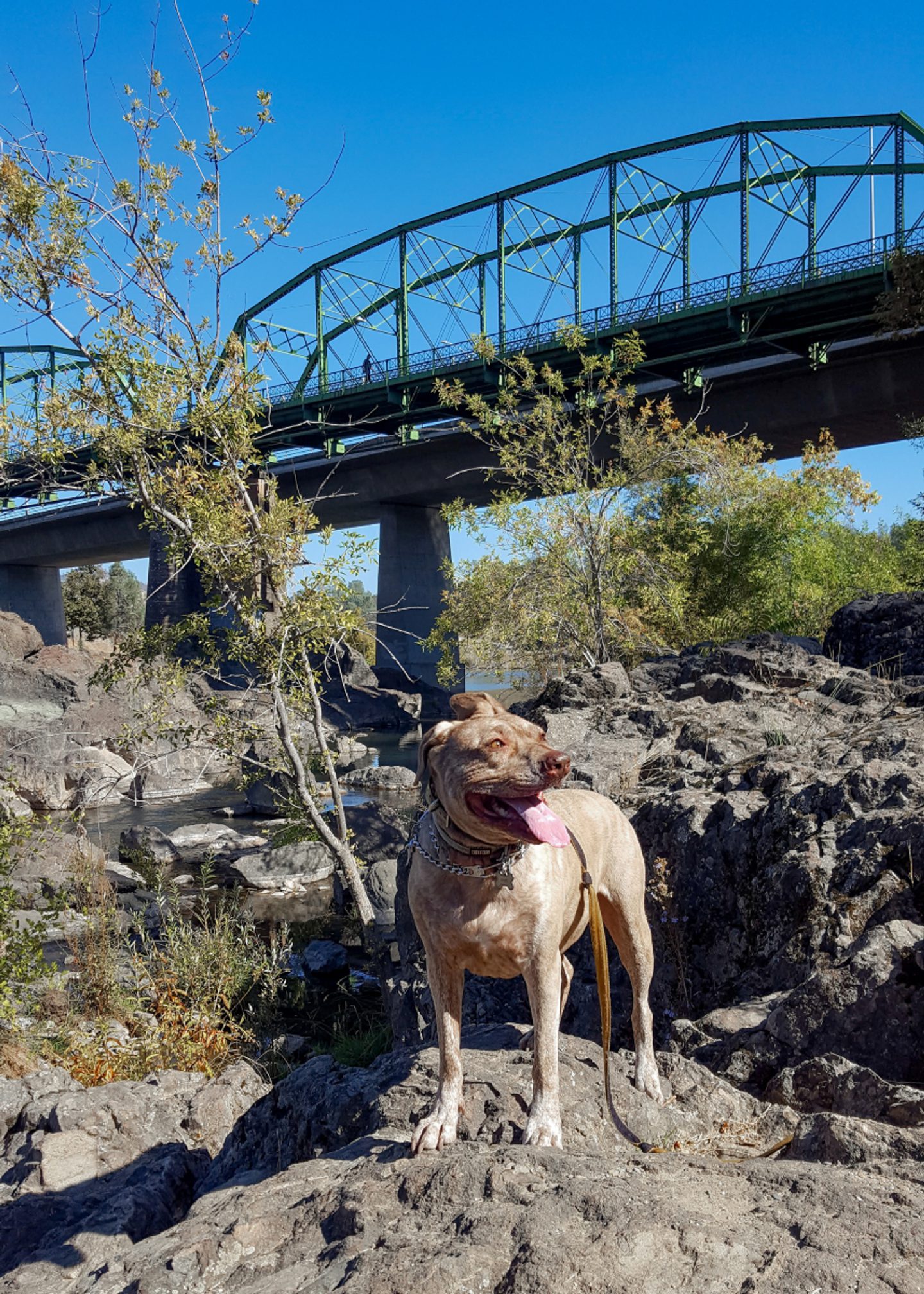 Hike Like a Local: Easy Hikes in Chico & Oroville