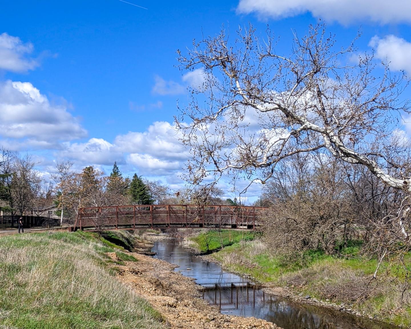Hike Like a Local: Easy Hikes in Chico & Oroville