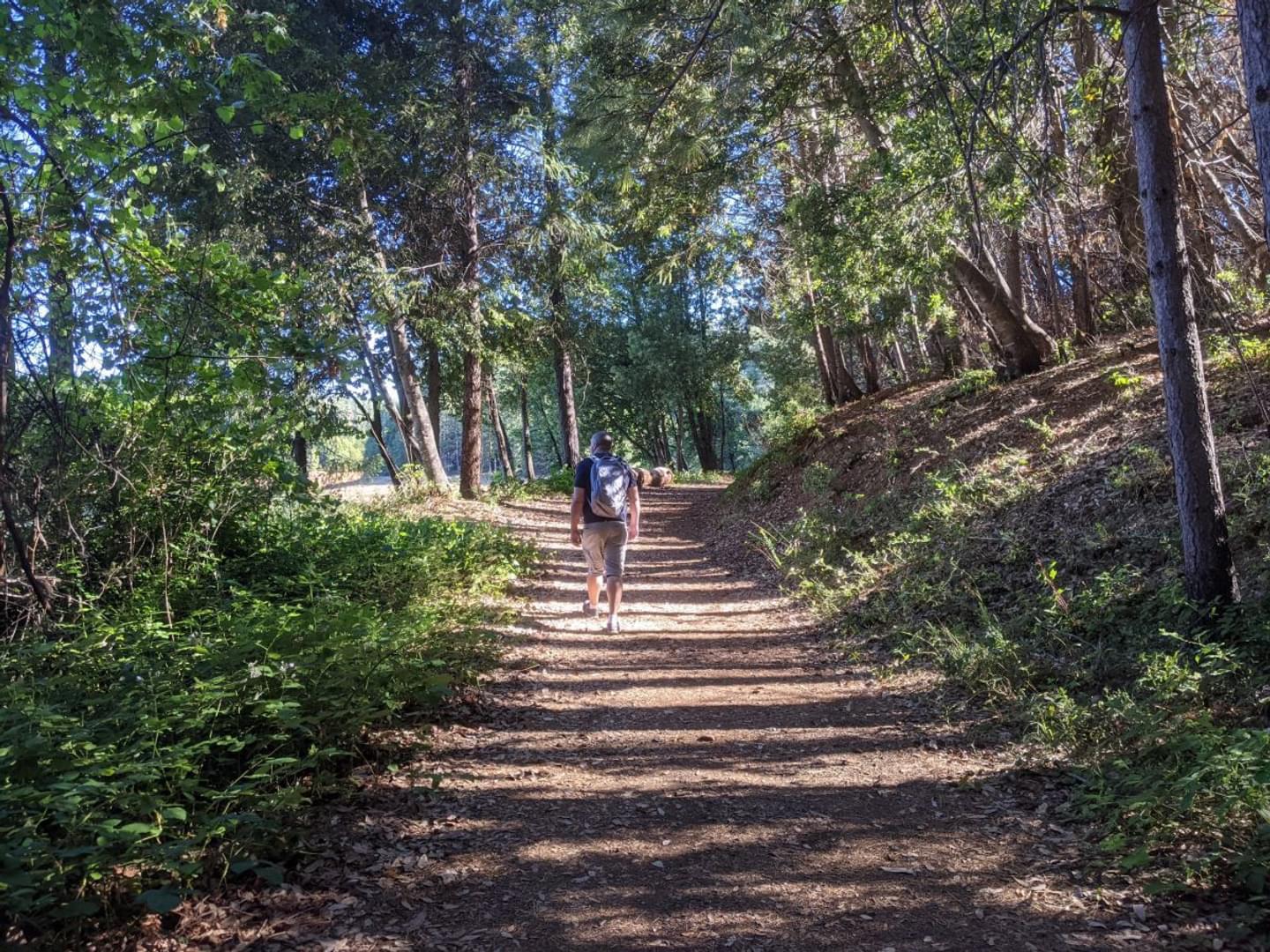 Hike Like a Local: Paradise