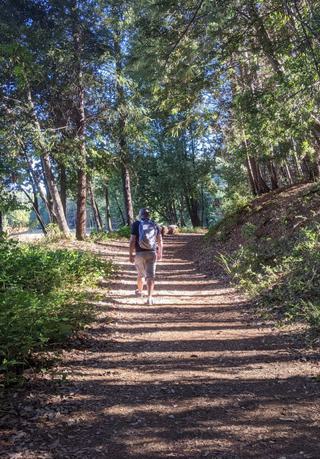 Hike Like a Local: Paradise