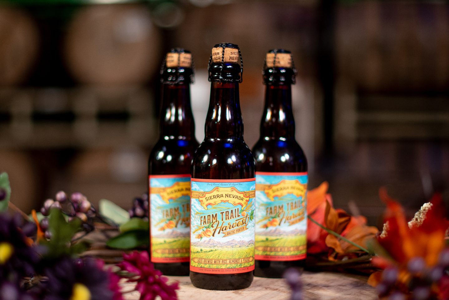 Brewing Innovation: Sierra Nevada Brewery